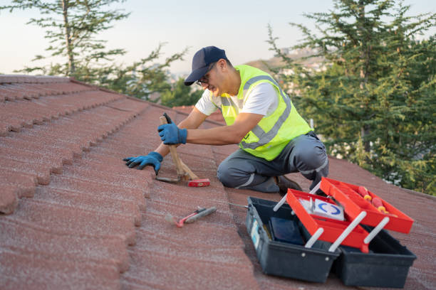 Best Emergency Roof Repair  in St Petersburg, FL