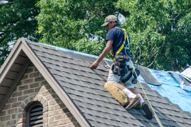 Best Residential Roofing Contractor  in St Petersburg, FL